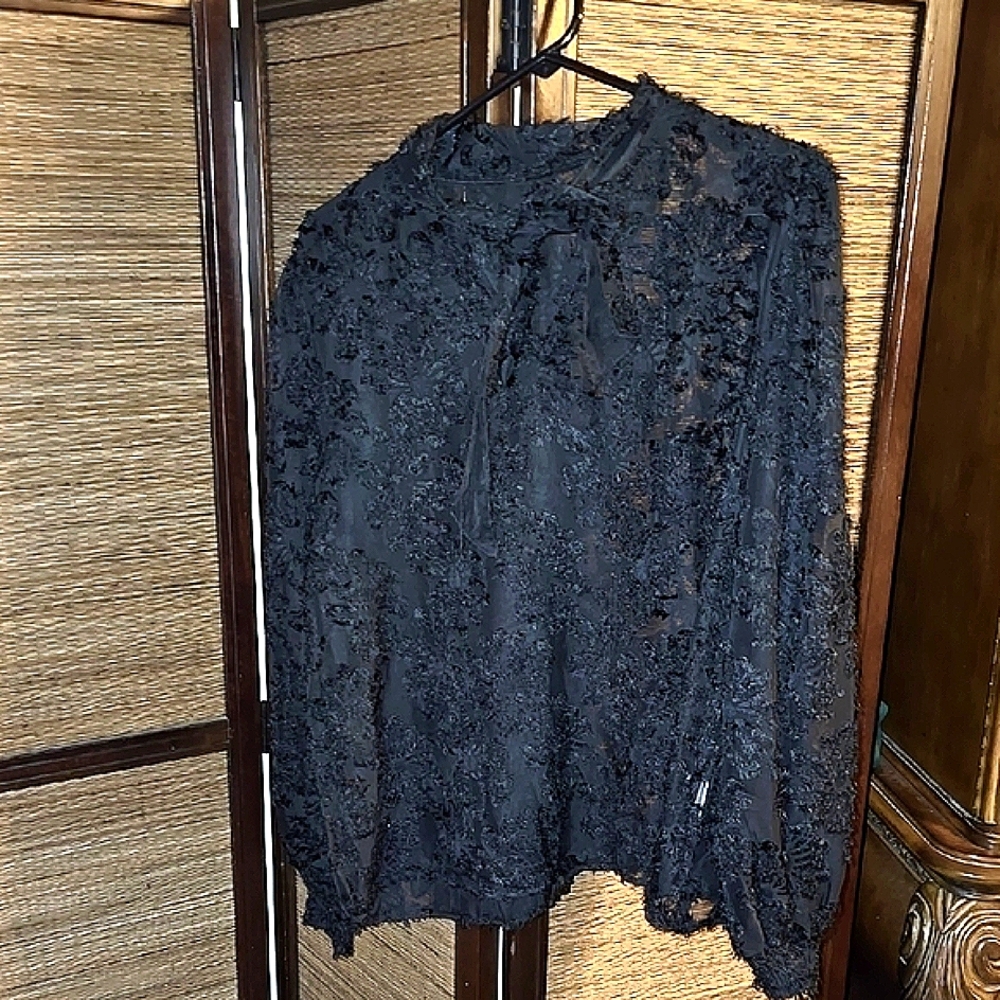 Black Lace Long Sleeved Blouse